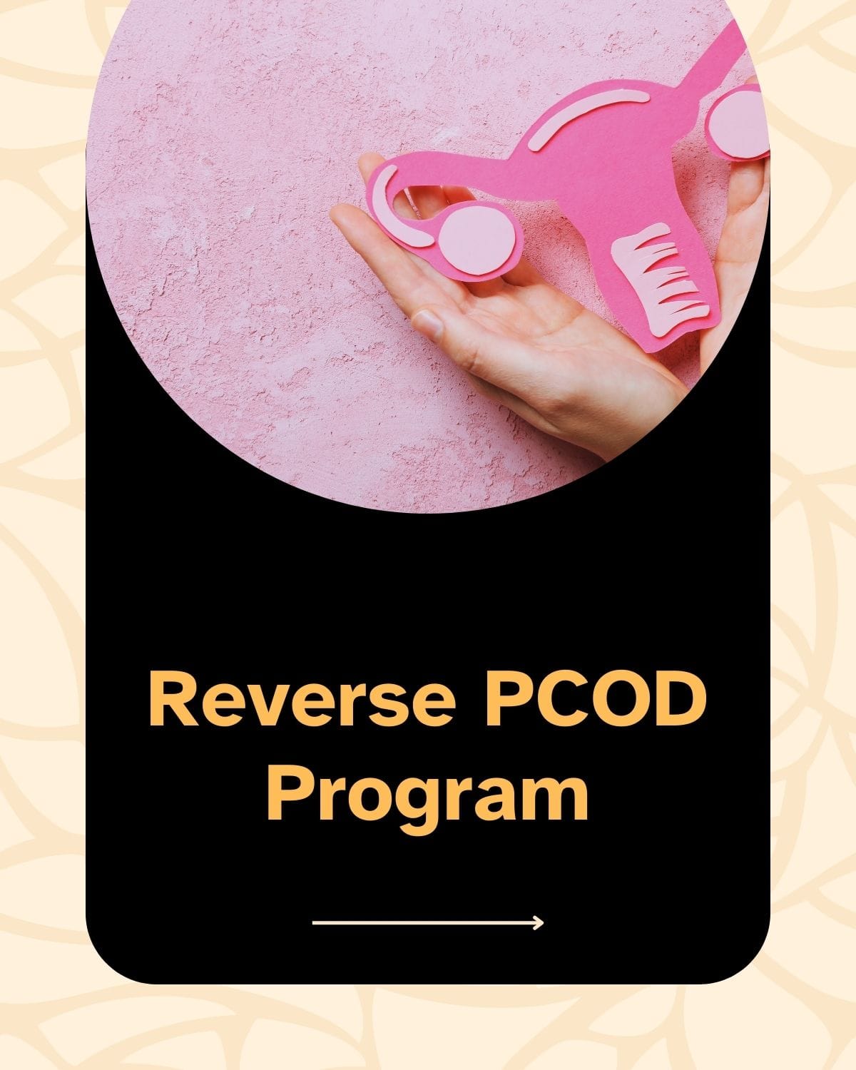 WhatsApp Image 2025-09-28 at 10.50.55_06e11b9f